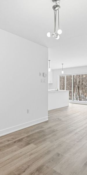 Neuf 2 Chambres - 1,5 Mois Gratuit - Photo 1