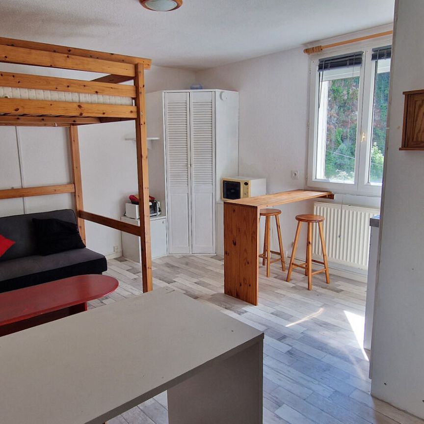 Location Appartement 1 pièce 19m² - Photo 1