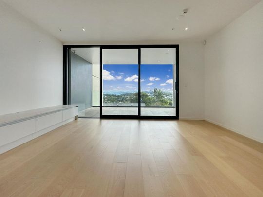 217 Great North Road, Grey Lynn - Photo 1