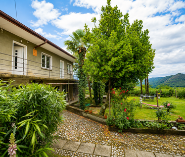 Appartamento in affitto a Novazzano con vista sui vigneti - Photo 4