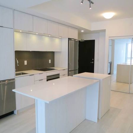 Downtown Spacious Condo Bachelor For Rent - Photo 3