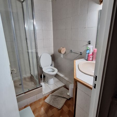 Location Appartement 1 pièce 19m² MONTPELLIER 34000 - Photo 3