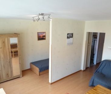 Zabrze Johanna Goethego - Фото 4