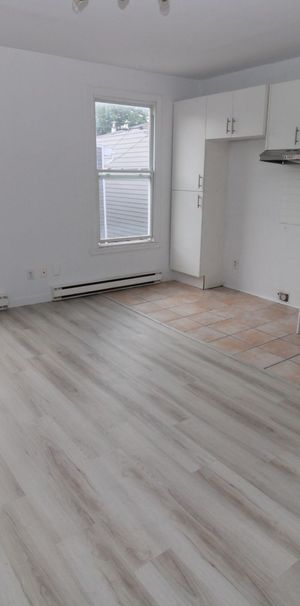 600 rue Raoul-Jobin, Saint-Sauveur à louer - Photo 1