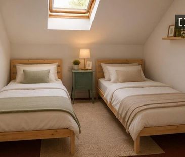 Room rent Southside, Dublin. - Photo 4