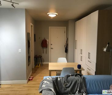 303-125, rue Ste-Anne, Vieux-Québec à louer - Photo 5