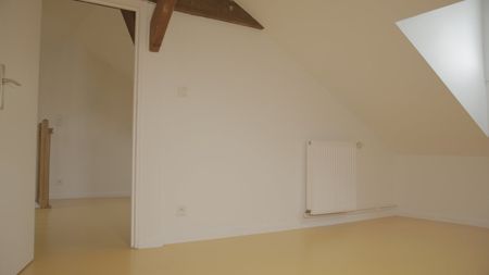 Loft T3bis avec Terrasse - Photo 5