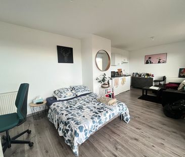 Location Appartement 1 pièce 36m² - Photo 4