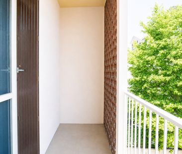 Toulouse - Lafon - Chambre 1 - Photo 5