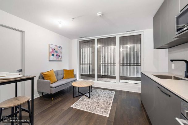 Furnished appartment for rent in the heart of Downtown Montreal - Photo 1