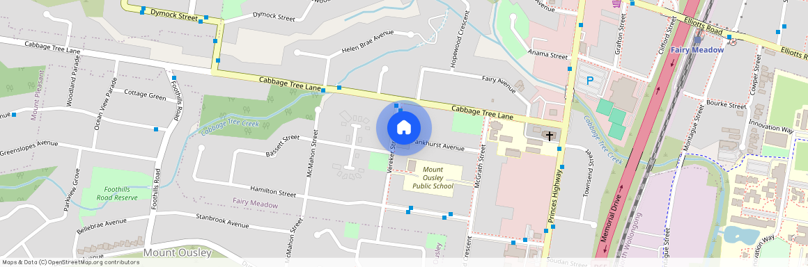 9 Vereker Street, Fairy Meadow, NSW, 2519