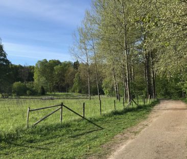 Välplanerad villa i barnvänligt område - Foto 6