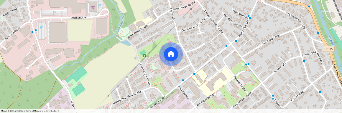 Anne-Frank-Straße 8, 58708 Menden