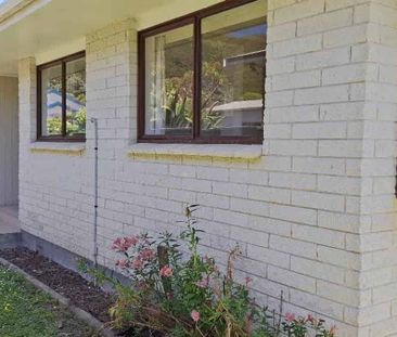 A lovely , sunny stand-alone, house in Waterloo - Photo 5