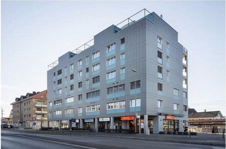 Stilvolles Wohnen an Zentraler Lage in Dübendorf - Photo 3