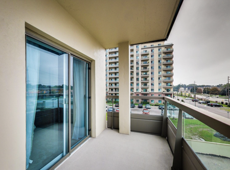 The Wisteria at the Royal Gardens - Photo 5