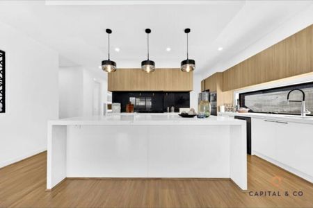 Donnybrook - Photo 3