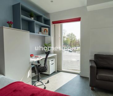 Premium Studio (Accessible) - Photo 1