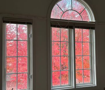 For Lease - 49 Melville St Street, Richmond Hill, Ontario - Photo 5