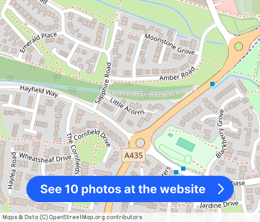 Little Acorns - Photo 1