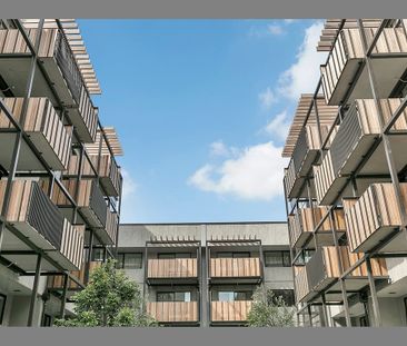 Elevation, Location, Sophistication - Mt Eden - Photo 3