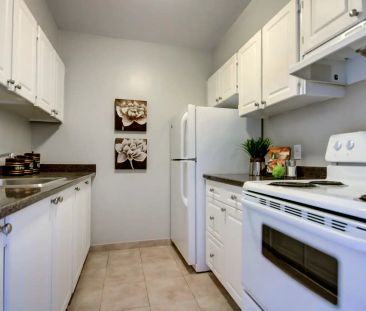 Pinewood Heights — 2 Bedroom, 1 Bathroom - Photo 3