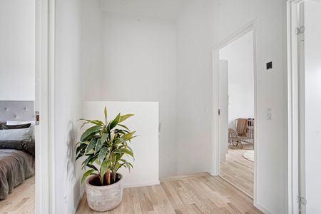 PH Park 33, 2. 8. - Foto 2