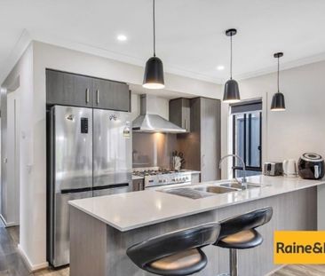 Brand New Four Bedroom Family Home - Photo 6