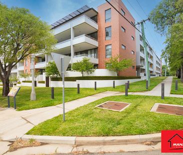 8/20 Eyre Street, Kingston ACT 2604 - Apartment For Rent | Domain - Photo 4
