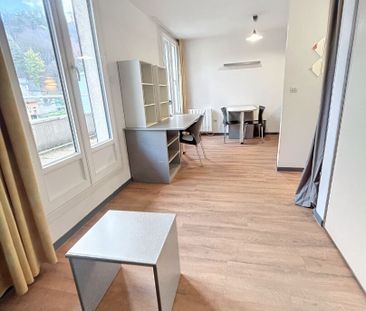 STUDIO MEUBLE AVEC TERRASSE 12 M² - Photo 3