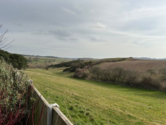 3 bedroom detached bungalow to let - Photo 1