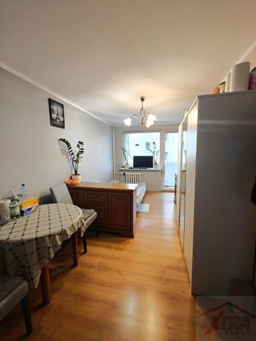 MIESZKANIE na WYNAJEM GOLENIÓW (437348) - Photo 3