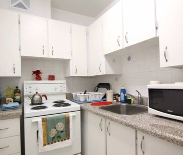 Bachelor Apartment - 565 Sherbourne - Photo 5