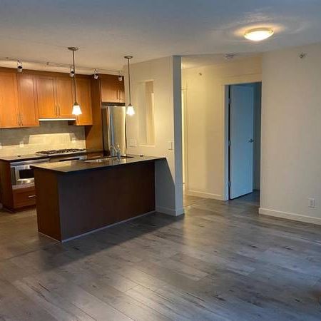 Coal Harbour Pet Friendly Renovated Spacious & Bright 2bd+2bth+den - Photo 1