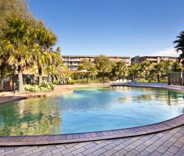 A cosmopolitan sanctuary in Sydney Park Village - Photo 6