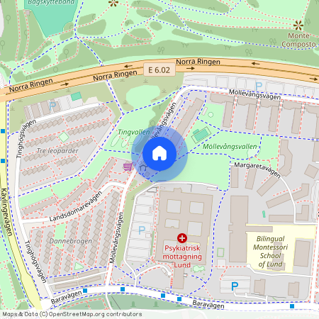 Möllevångsvägen, Lund