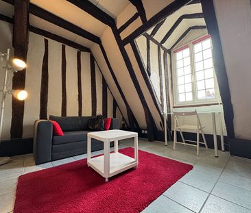 "LE BOISÉ" - Location Appartement tours : 22.248 m2 - Photo 3