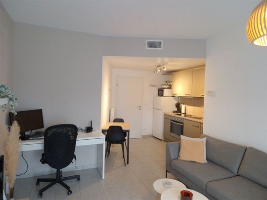 Superbe appartement de 50 m² d'une chambre - Photo 1