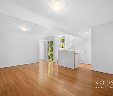 37 Warana Street, Noosa Heads, Qld 4567 - Photo 3