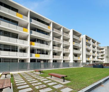 Beautiful One-Bedroom Apartment in Fantastic Location - Photo 6