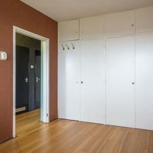 Van Eeghenstraat 1071 Amsterdam - Foto 3