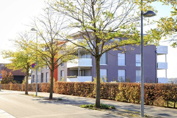 Appartement de 4.5 pièces au 1er étage à Payerne! - Photo 1