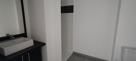 Location Appartement 1 pièce 26m² LAUNAGUET 31140 - Photo 3