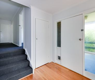 Four bedrooms and one Bathroom house in Lindisfarne Available NOW - Photo 5