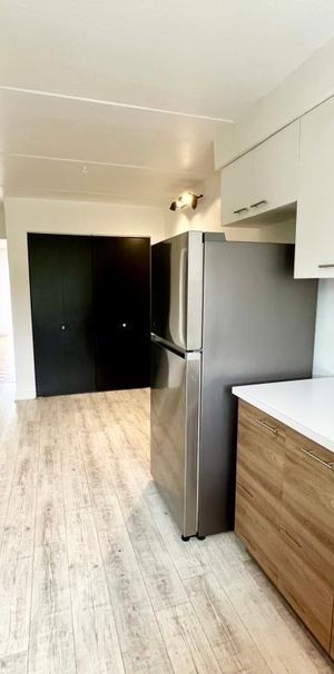 Modern 5 1/2 + appliances + parking, Chemoday Laval - Photo 1