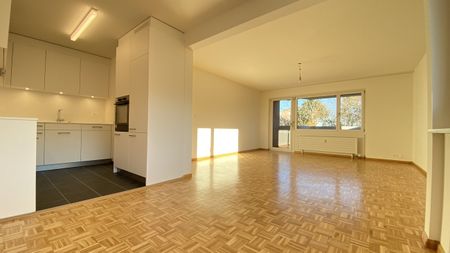 Wohnen über Muttenz; 2020 sanierte Wohnung mit herrlicher Weitsicht - Photo 3