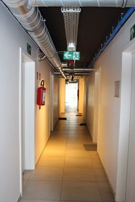 't Hoge 11 - Photo 1
