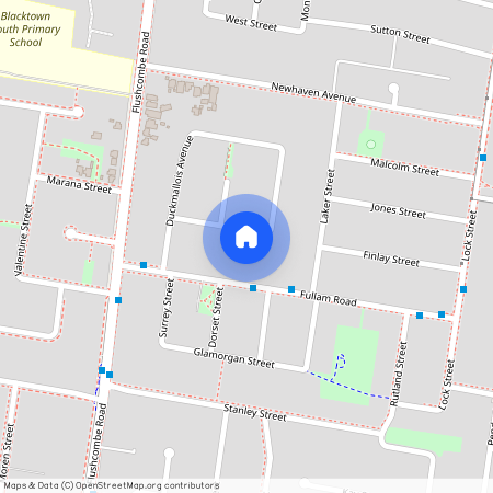 82 Duckmallois Ave, NSW 2148, Blacktown