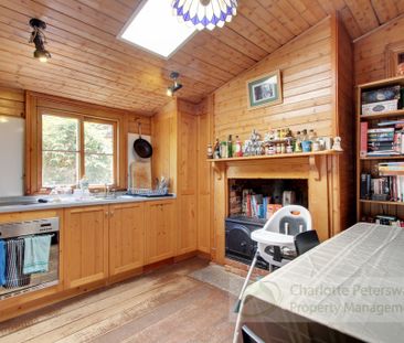 49 Wellington St, North Hobart TAS 7000 - House For Rent | Domain - Photo 2