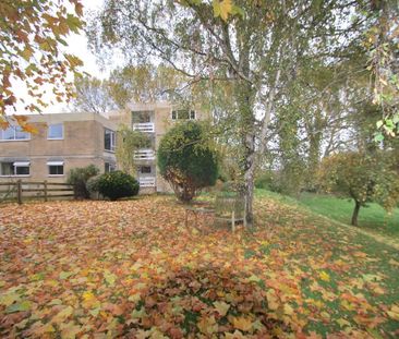 Grosvenor Bridge Road - Photo 4